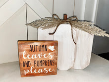 Chunky Pumpkin with Coordinating Fall Sign